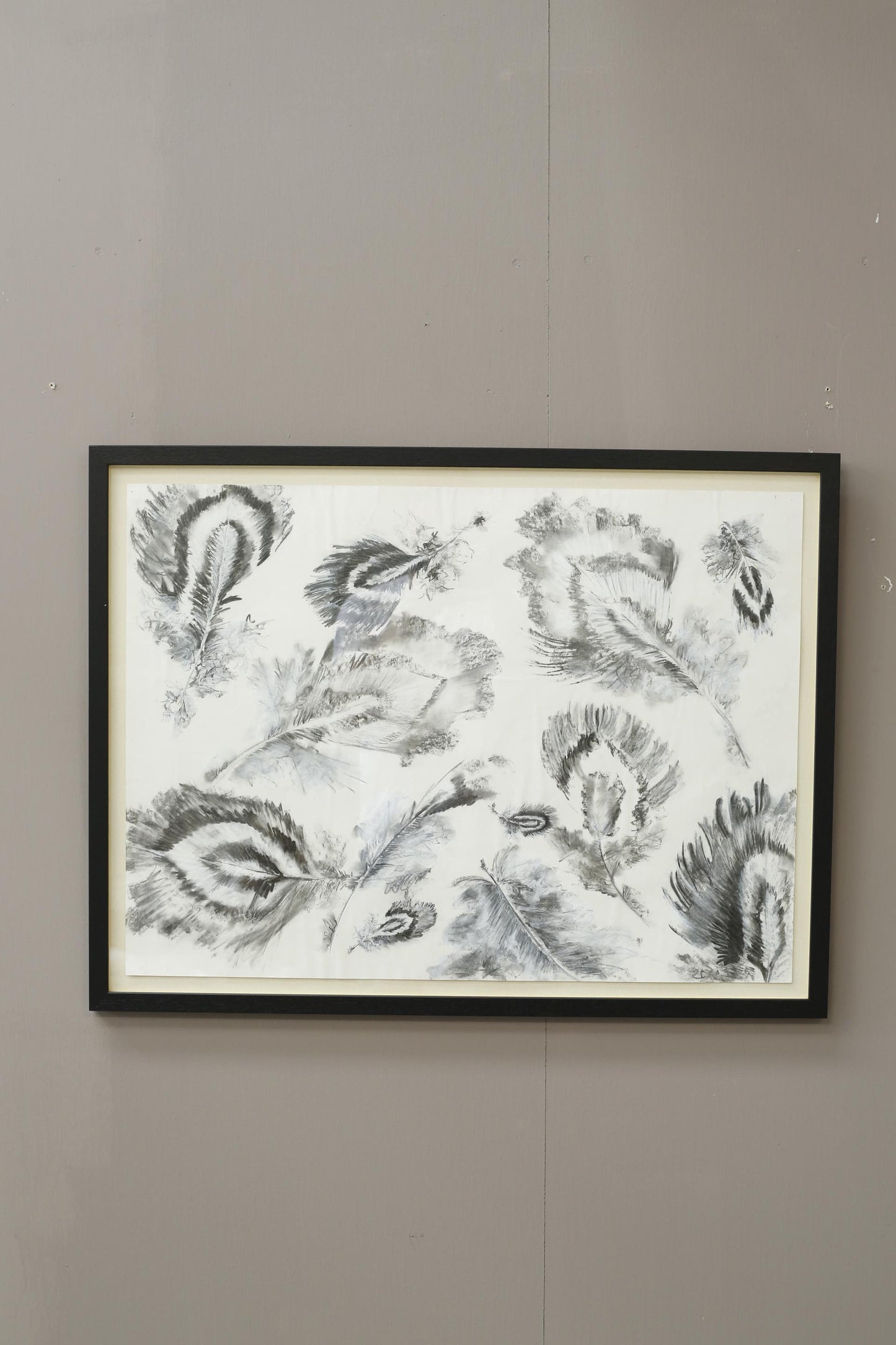 21st century Charcoal and chalk artwork - Feathers 2