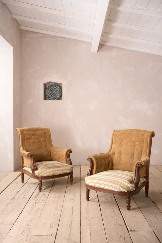 Pair of 19th century French armchairs with carved frame