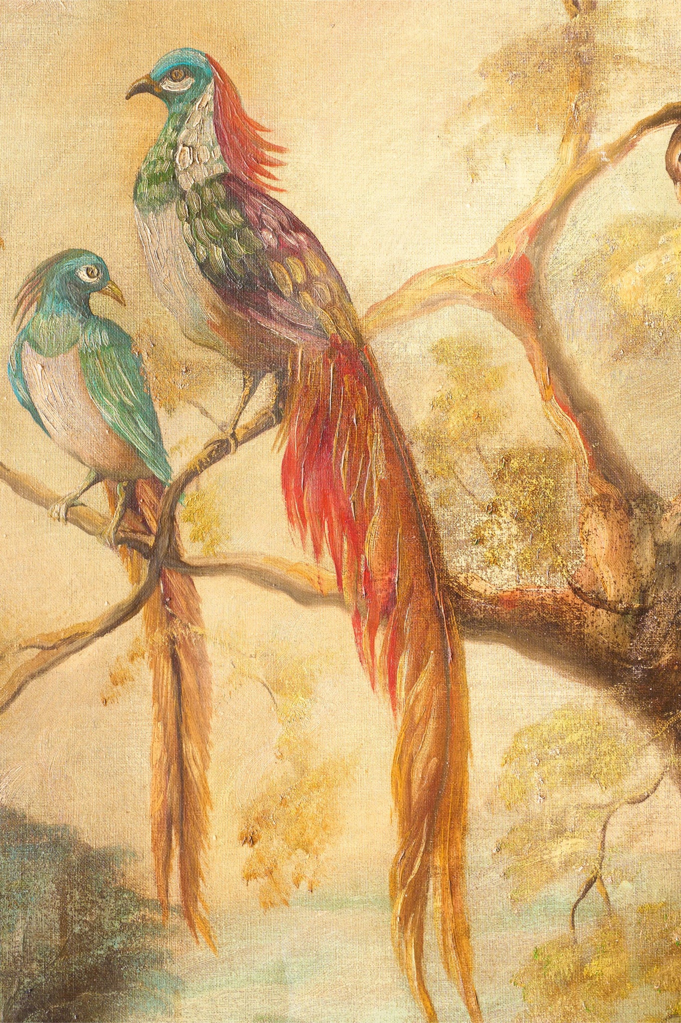 19th century Oil on canvas painting of tropical birds